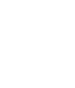 Dallas Eagle
